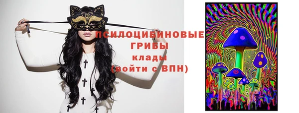 Альфа ПВП Лагань