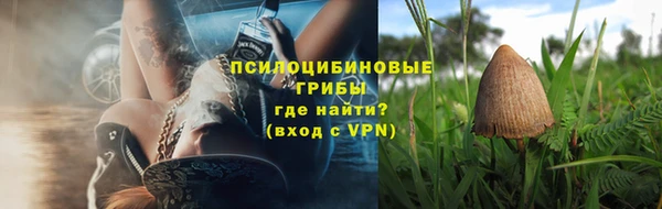 Альфа ПВП Лагань
