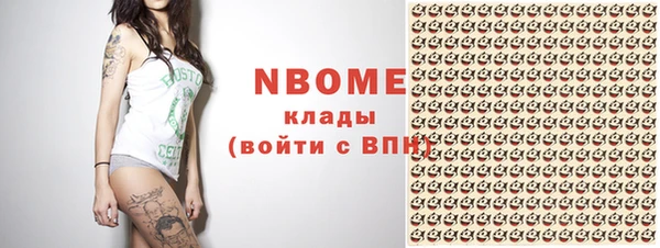 Альфа ПВП Лагань