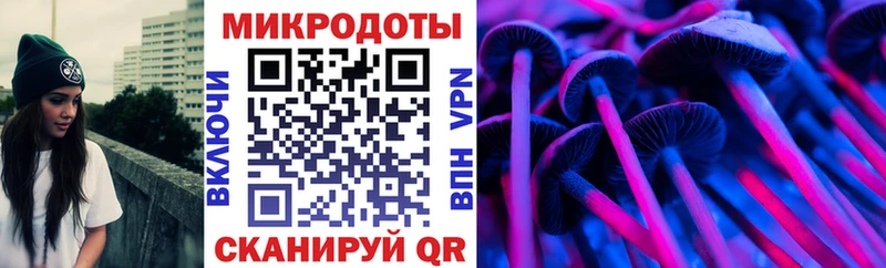 Купить Разумное Псилоцибиновые грибы мицелий